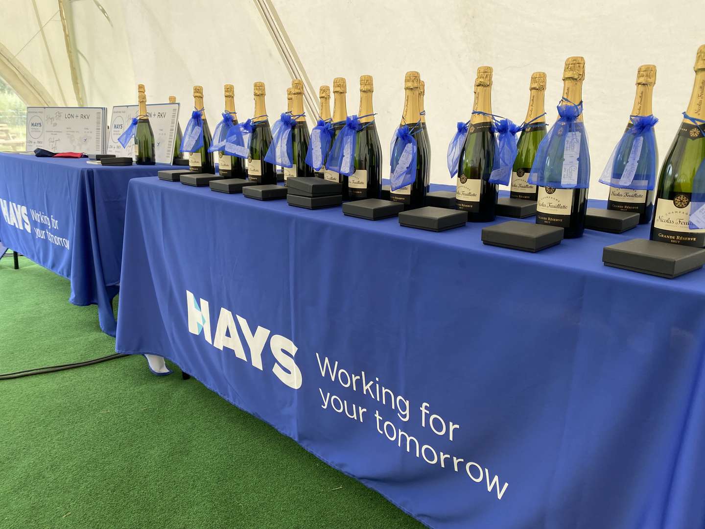 Alcott Events Corporate Festival Fun Day - Marquee (9).jpg